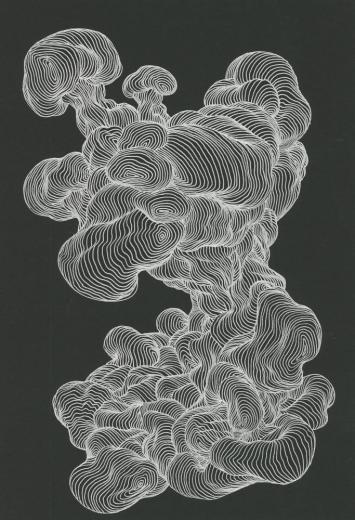 Prism-Drawing