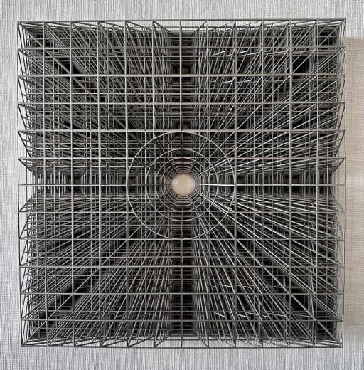 Warp