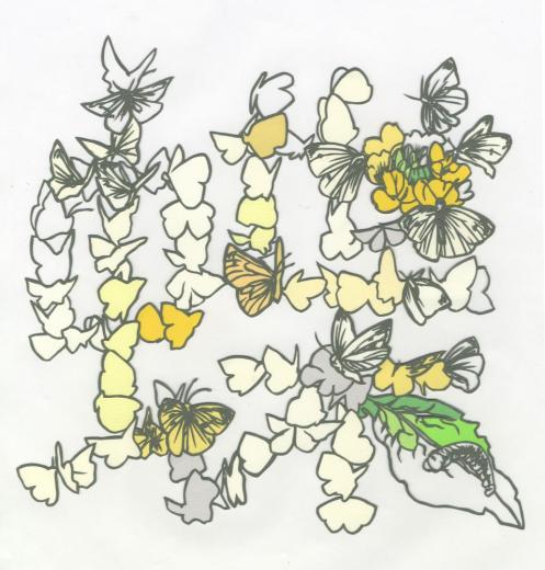 「Family Mottoes」ー蝶ー