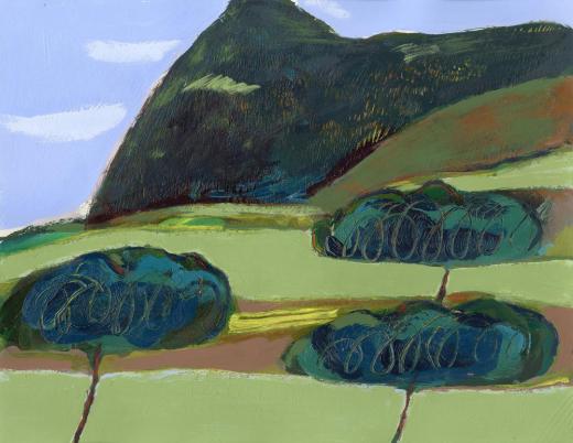 Pines and Mountains 20250305