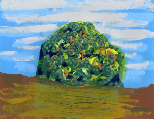 Mountain 20250221