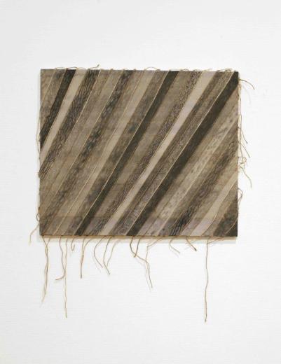 windbreak