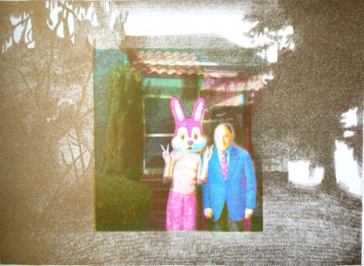 Rabbit