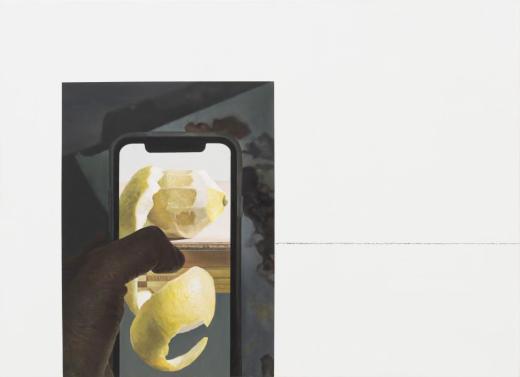display(still life)