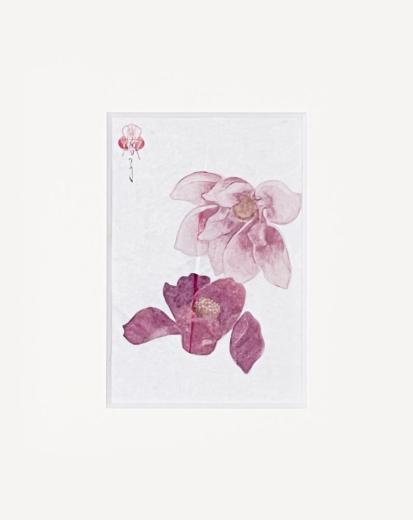 皮膜 #02
