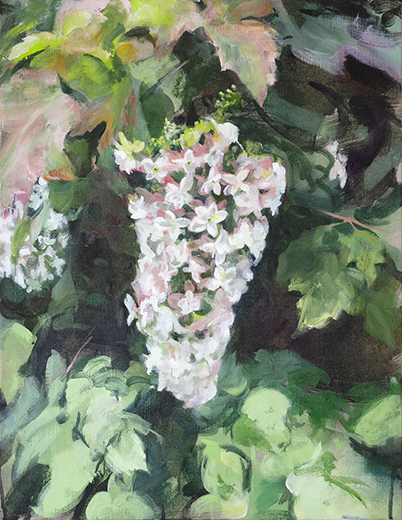 日日是好日 -柏葉紫陽花-