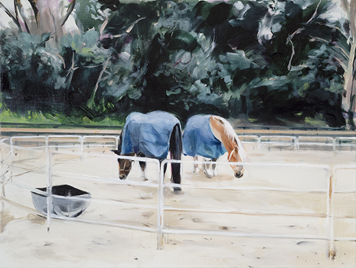 just looking -2 ponies-