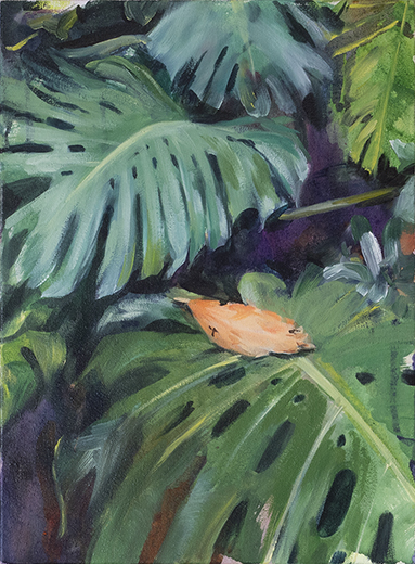 monstera in a dream