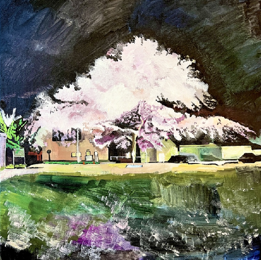 谷保の夜桜