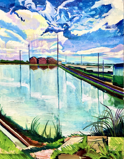 青空広がる田んぼ道(国立市)