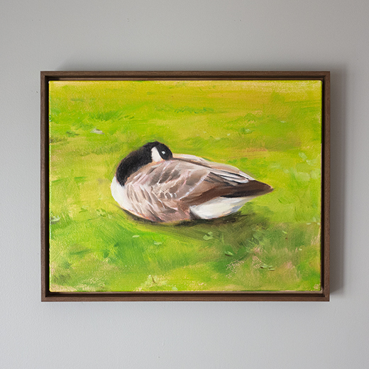 今日の次が明日かどうか -Canada goose- A
