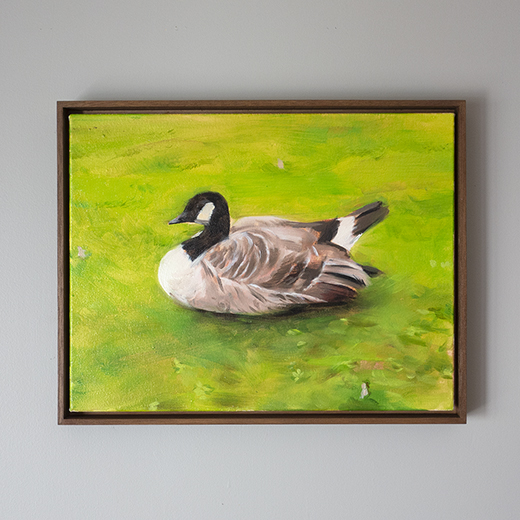 今日の次が明日かどうか -Canada goose- B