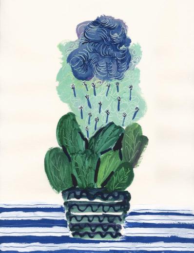 Flowers and Pot 20220909