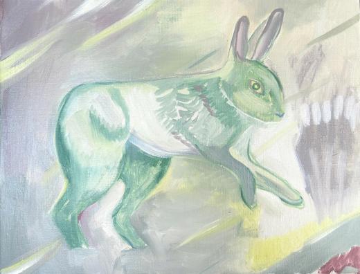 Wild Rabbit