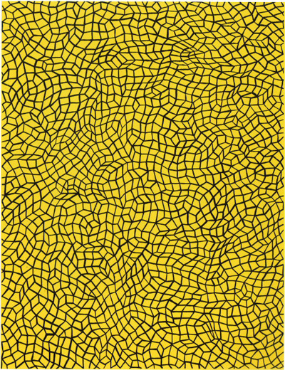 Infinity Nets