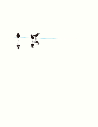 みずどり