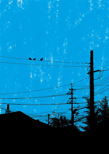 Bird's Town 4