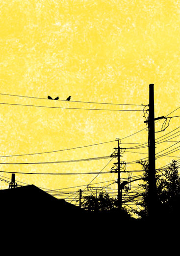 Bird's Town 5