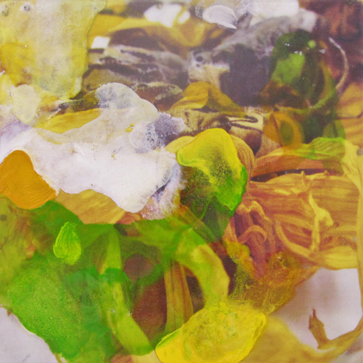 sunflowers no.1