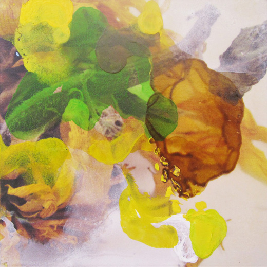 sunflowers no.9