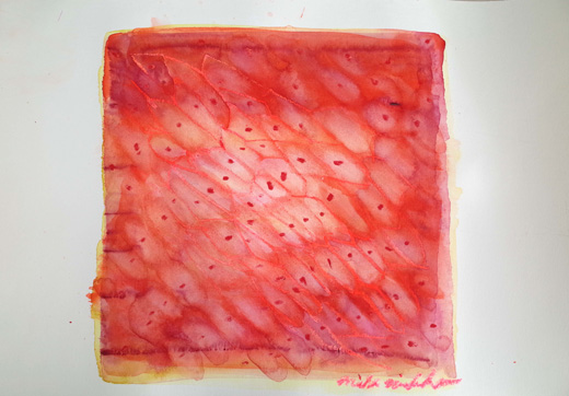cell1 drawing