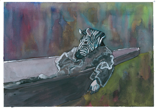 Zebra Man
