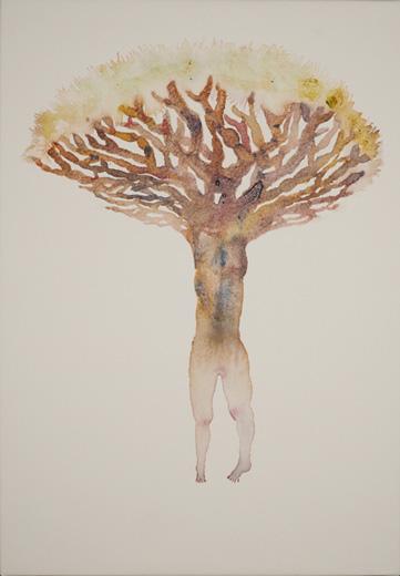 in a tree
