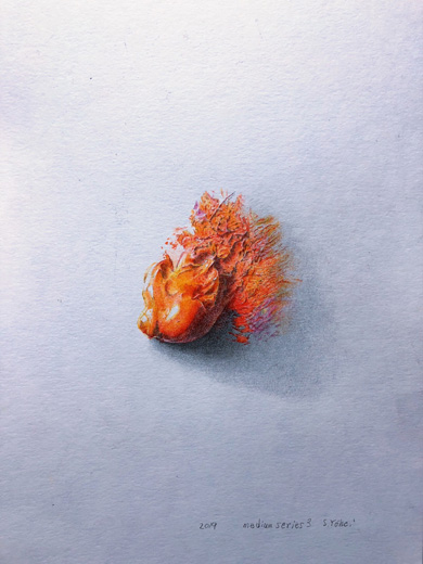 medium series 3