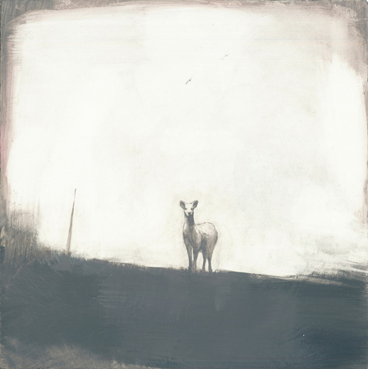 A Vision 1