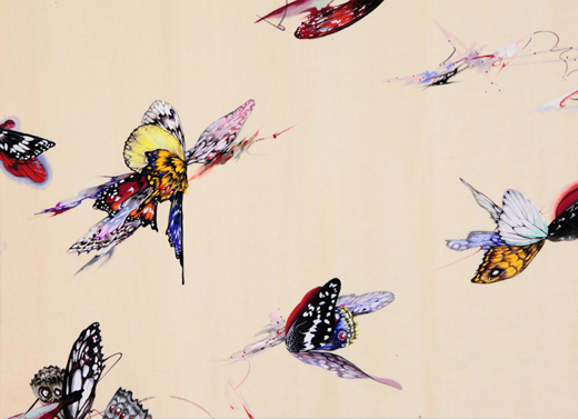 butterflies 2019 #3