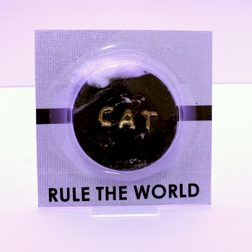 CAT HOLIC(BLACK)