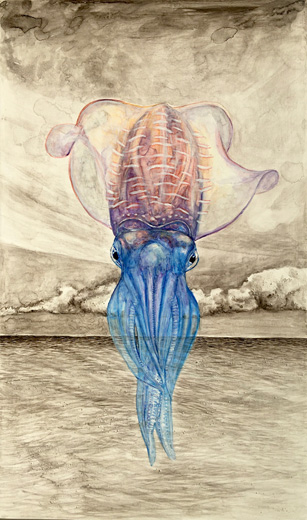 水平線生き物
