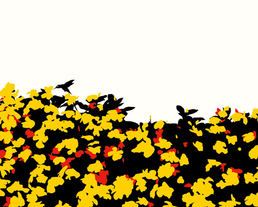 花鳥